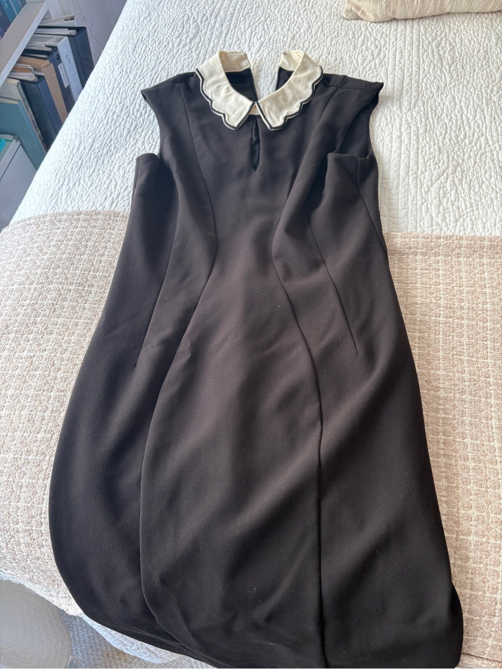 eva mendes for New York & Company Black Midi Dress with White Scalloped Collar